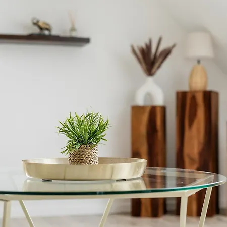 Apartmán Roof-suite 01 I Aufzug I Bbq I Wifi I Balkon I Tv Rheda-Wiedenbrück